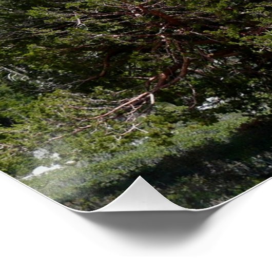 Sierra Nevada Gebirge II aus Yosemite Poster (Ecke)