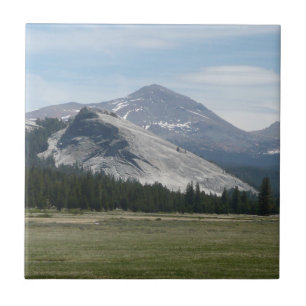Sierra Nevada Gebirge III Yosemite National Park Fliese