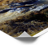 Sierra Nevada, Kalifornien, Etats-Unis Poster (Ecke)