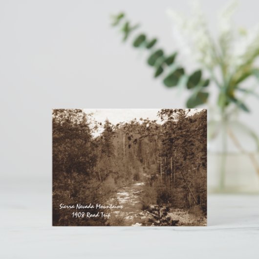 Sierra Nevada Mts Postkarte (Stehend Vorderseite)