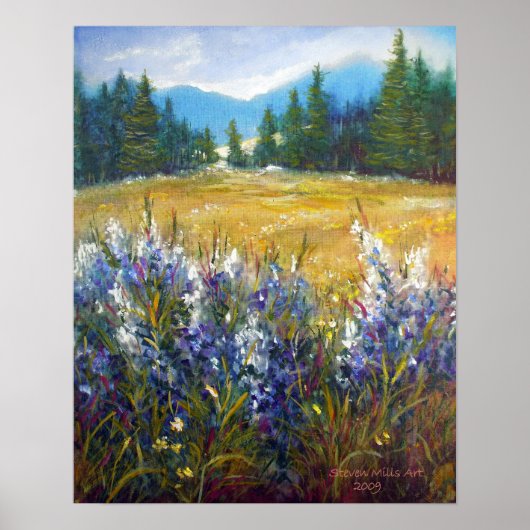 Sierra Nevada Poster (Vorne)