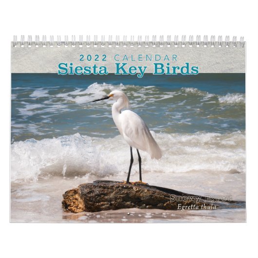 Siesta Key Birds - Kalender 2022 (Titelbild)