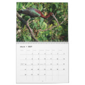 Siesta Key Birds - Kalender 2022 (Mär 2027)