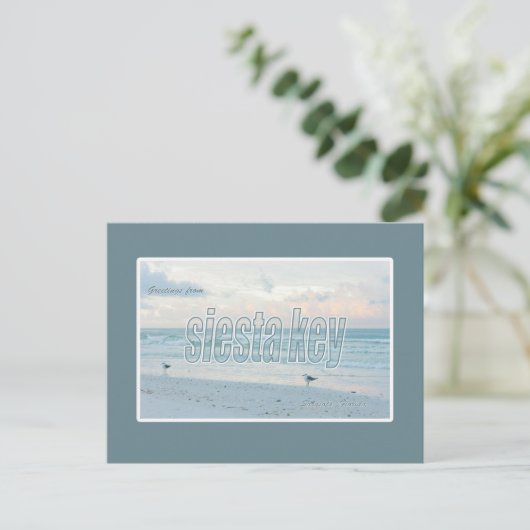 Siesta Key, Florida Postkarte (Stehend Vorderseite)