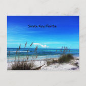 Siesta Key Postkarte (Vorderseite)