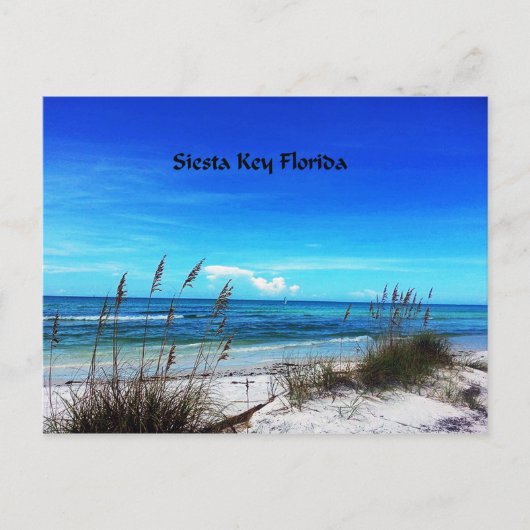 Siesta Key Postkarte (Vorderseite)