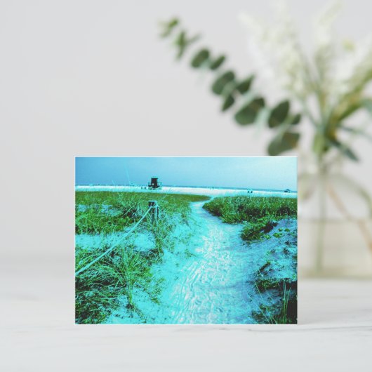 Siesta Keys Beach in farbenfrohen Edges Themed Ges Postkarte (Stehend Vorderseite)