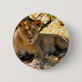 Siesta Time Button (Vorderseite)