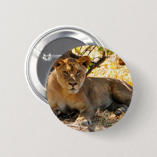 Siesta Time Button (Vorne & Hinten)