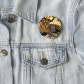 Siesta Time Button (Beispiel)