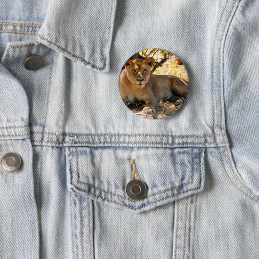 Siesta Time Button (Beispiel)