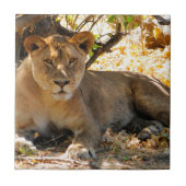 Siesta Time Fliese (Vorderseite)