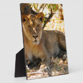 Siesta Time Fotoplatte (Seite)