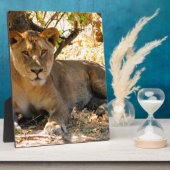 Siesta Time Fotoplatte (Seite)