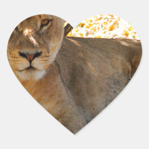 Siesta Time Herz-Aufkleber