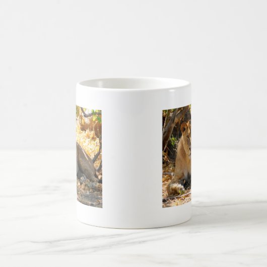 Siesta Time Kaffeetasse (Mittel)