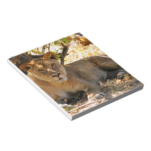 Siesta Time Notizblock (angewinkelt)