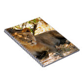 Siesta Time Notizblock (Rechte Seite)