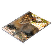 Siesta Time Notizblock (Linke Seite)