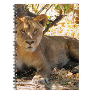 Siesta Time Notizblock