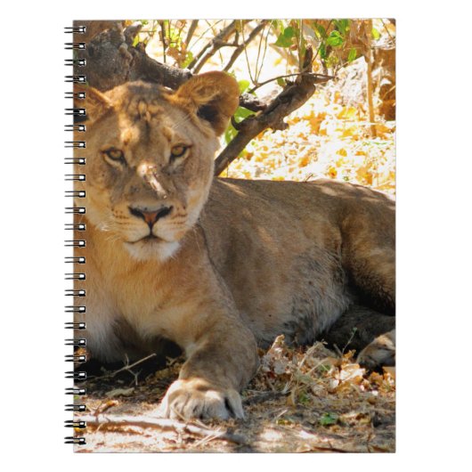 Siesta Time Notizblock (Vorderseite)