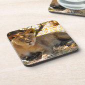 Siesta Time Untersetzer (Linke Seite)