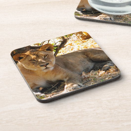 Siesta Time Untersetzer (Linke Seite)