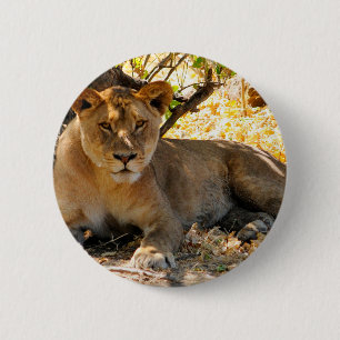 Siesta-Zeit Button