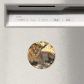 Siesta-Zeit Magnet (In Situ (Geschirrspüler))