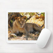 Siesta-Zeit Mousepad (Mit Mouse)