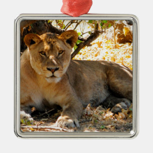 Siesta-Zeit Ornament Aus Metall