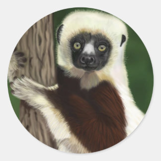 Sifaka-Aufkleber Runder Aufkleber