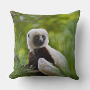 Sifaka des Coquerels im Wald 2 Kissen