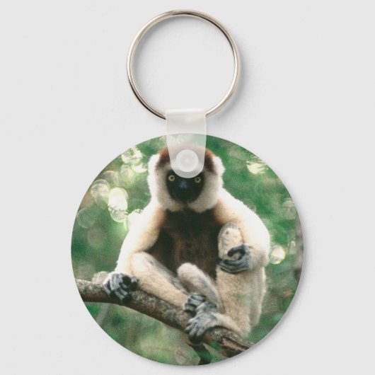 Sifaka Key Fob Schlüsselanhänger (Vorderseite)
