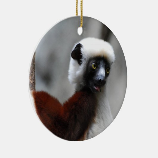 Sifaka Lemur-Verzierung Keramik Ornament (Rechts)