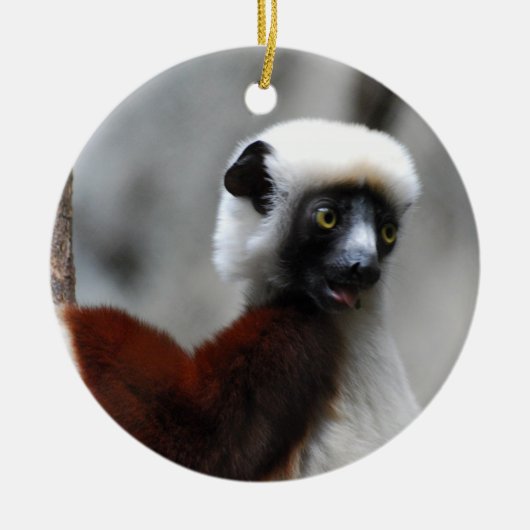 Sifaka Lemur-Verzierung Keramik Ornament (Vorne)