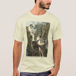 Sifaka Lemurssonnen T-Shirt