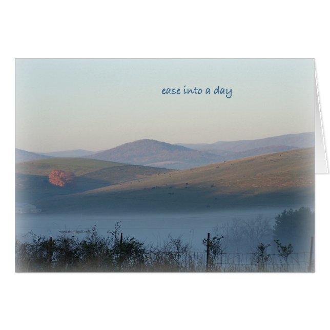 SIGH_ease_day_2639 (Vorderseite (Horizontal))