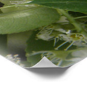 SIGH_ets_loa_P5140161g Poster (Ecke)