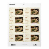 Sigh. Iz gelangweilt (Vorne)