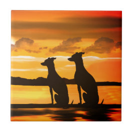 Sighthounds Greyhound Sunrise Fliese