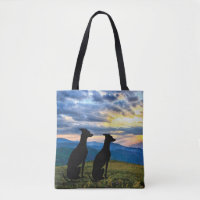 Sighthounds - Windhund Sunset