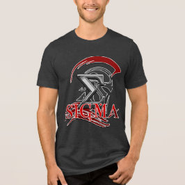 SIGM 3 Herren Basic T-Shirt Tri-Blend Shirt