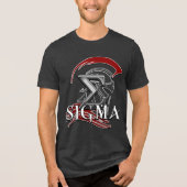 SIGMA 3b Men's Basic T-Shirt Tri-Blend Shirt (Vorderseite)