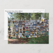 Sign Post Forest, Watson Lake, Yukon Postkarte (Vorne/Hinten)