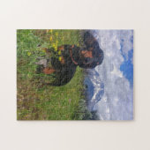 Signal-Berg Puzzle (Horizontal)