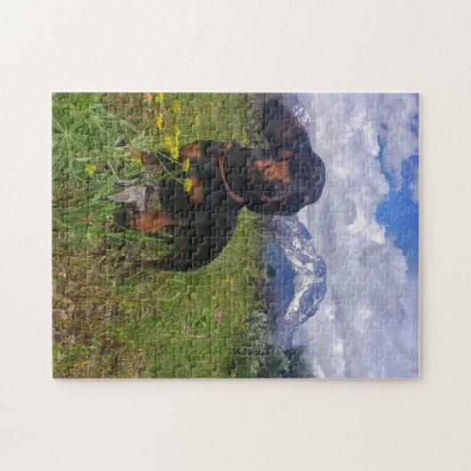 Signal-Berg Puzzle (Horizontal)