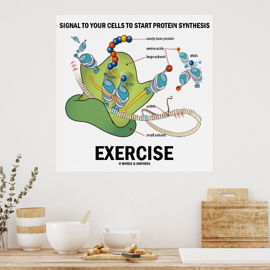 Signal für die Einleitung einer Proteinsynthese Poster (Küche)