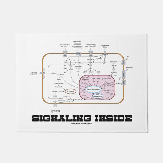 Signalisieren innerhalb der fußmatte (Vorderseite)