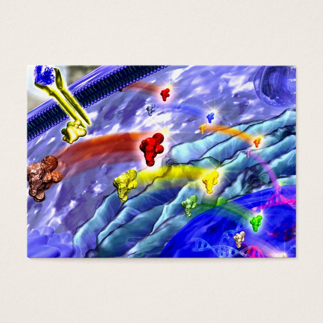 Signalisierung der Visitenkarte an Land (Vorderseite)